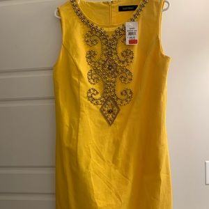 Beautiful Ellen Tracy dress